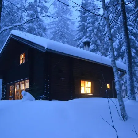 Ferienhuette Hochalm Villa Lunz am See Exterior photo
