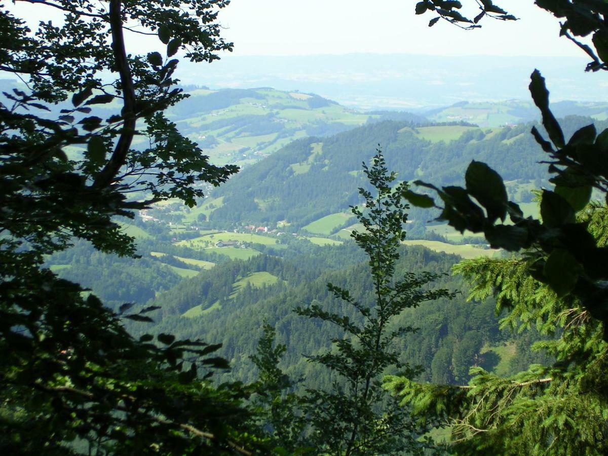 Ferienhuette Hochalm Lunz am See