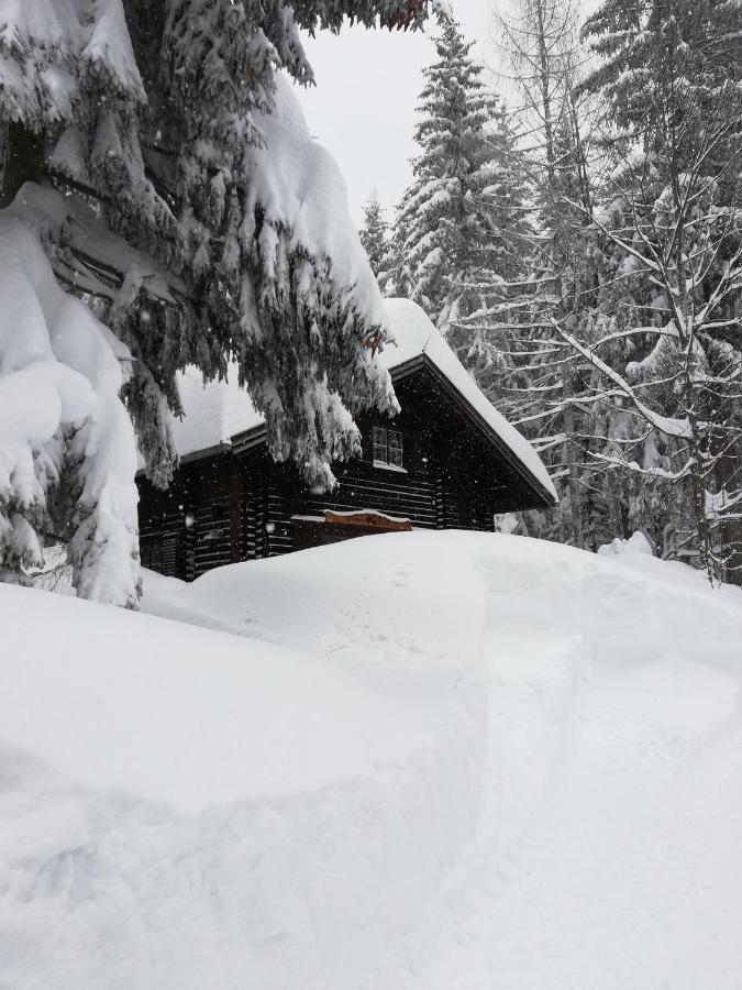 Ferienhuette Hochalm Holiday home